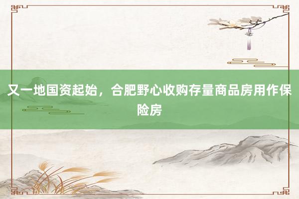 又一地国资起始，合肥野心收购存量商品房用作保险房