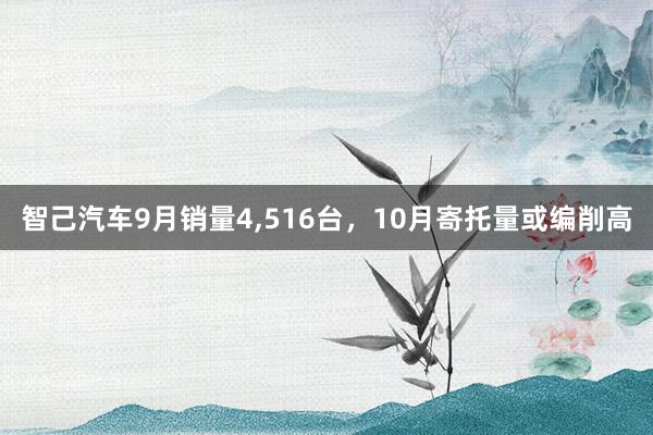 智己汽车9月销量4,516台，10月寄托量或编削高