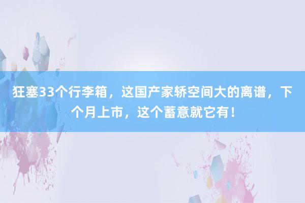 狂塞33个行李箱，这国产家轿空间大的离谱，下个月上市，这个蓄意就它有！