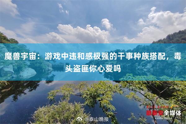 魔兽宇宙：游戏中违和感极强的干事种族搭配，毒头盗匪你心爱吗