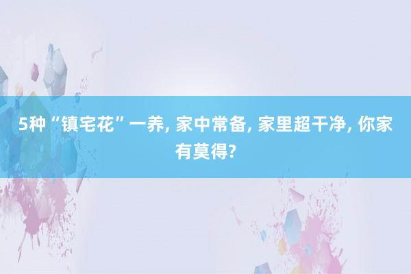 5种“镇宅花”一养, 家中常备, 家里超干净, 你家有莫得?