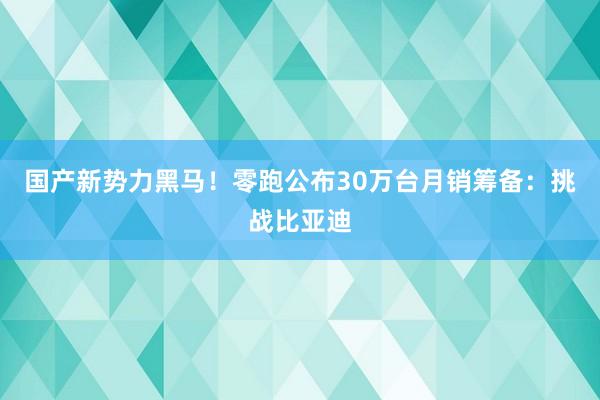 国产新势力黑马！零跑公布30万台月销筹备：挑战比亚迪