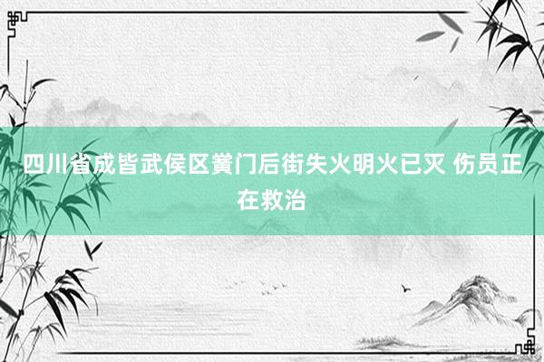 四川省成皆武侯区黉门后街失火明火已灭 伤员正在救治