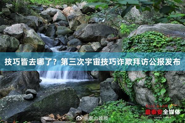 技巧皆去哪了？第三次宇宙技巧诈欺拜访公报发布