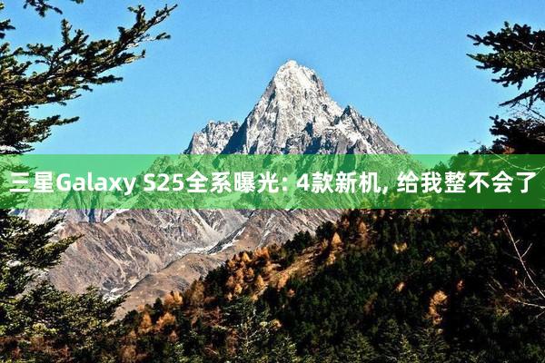 三星Galaxy S25全系曝光: 4款新机, 给我整不会了