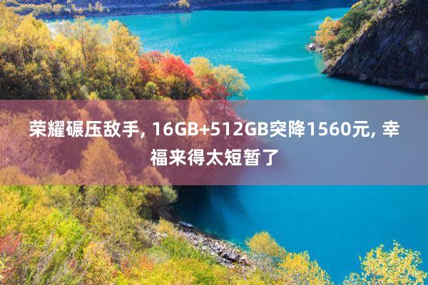 荣耀碾压敌手, 16GB+512GB突降1560元, 幸福来得太短暂了