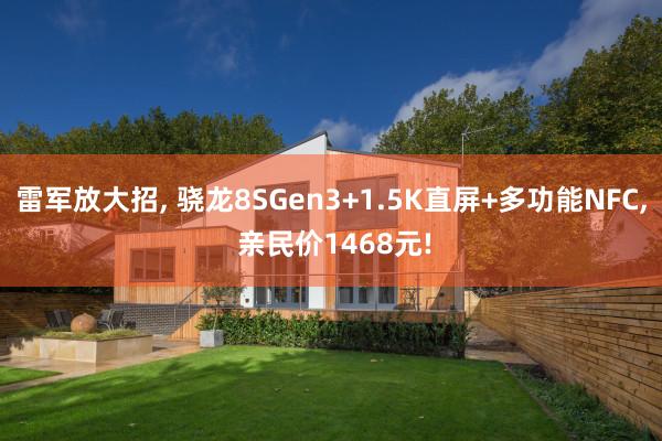 雷军放大招, 骁龙8SGen3+1.5K直屏+多功能NFC, 亲民价1468元!