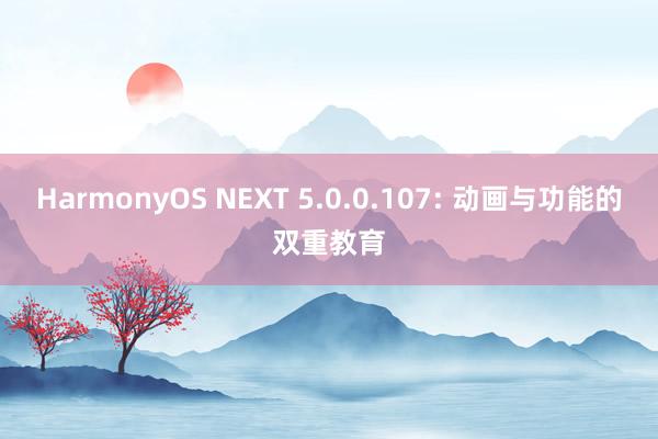 HarmonyOS NEXT 5.0.0.107: 动画与功能的双重教育