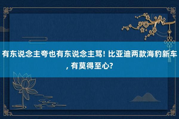 有东说念主夸也有东说念主骂! 比亚迪两款海豹新车, 有莫得至心?