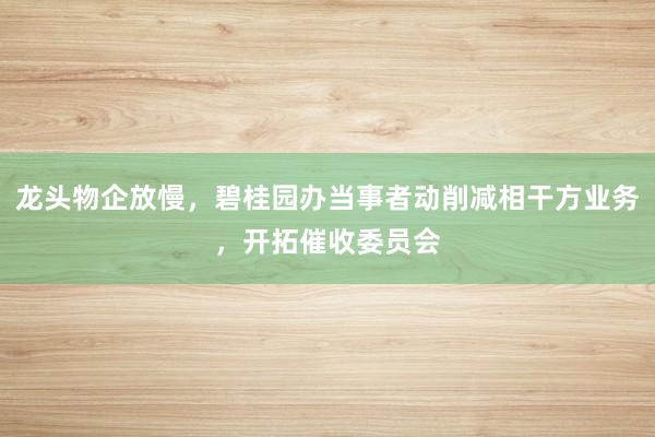 龙头物企放慢，碧桂园办当事者动削减相干方业务，开拓催收委员会